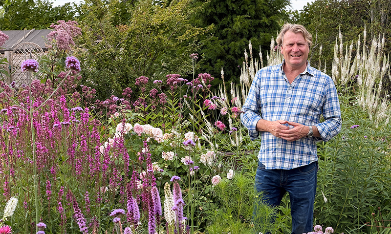 Step By Step Gardening Offer