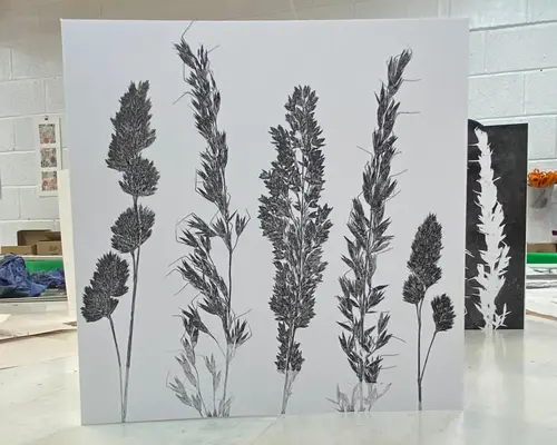Art Exhibition- Botanical Monoprinting Workshop Taster with Claire 
