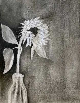 Art Exhibition- Exploring charcoal with Tina