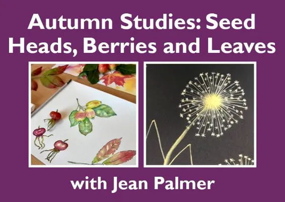 Autumn Studies: Seed Heads, Berries & Leaves at Barton Grange