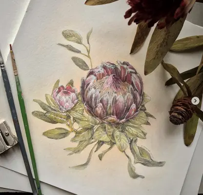 Botanical Illustrations with Katherine O'Shea