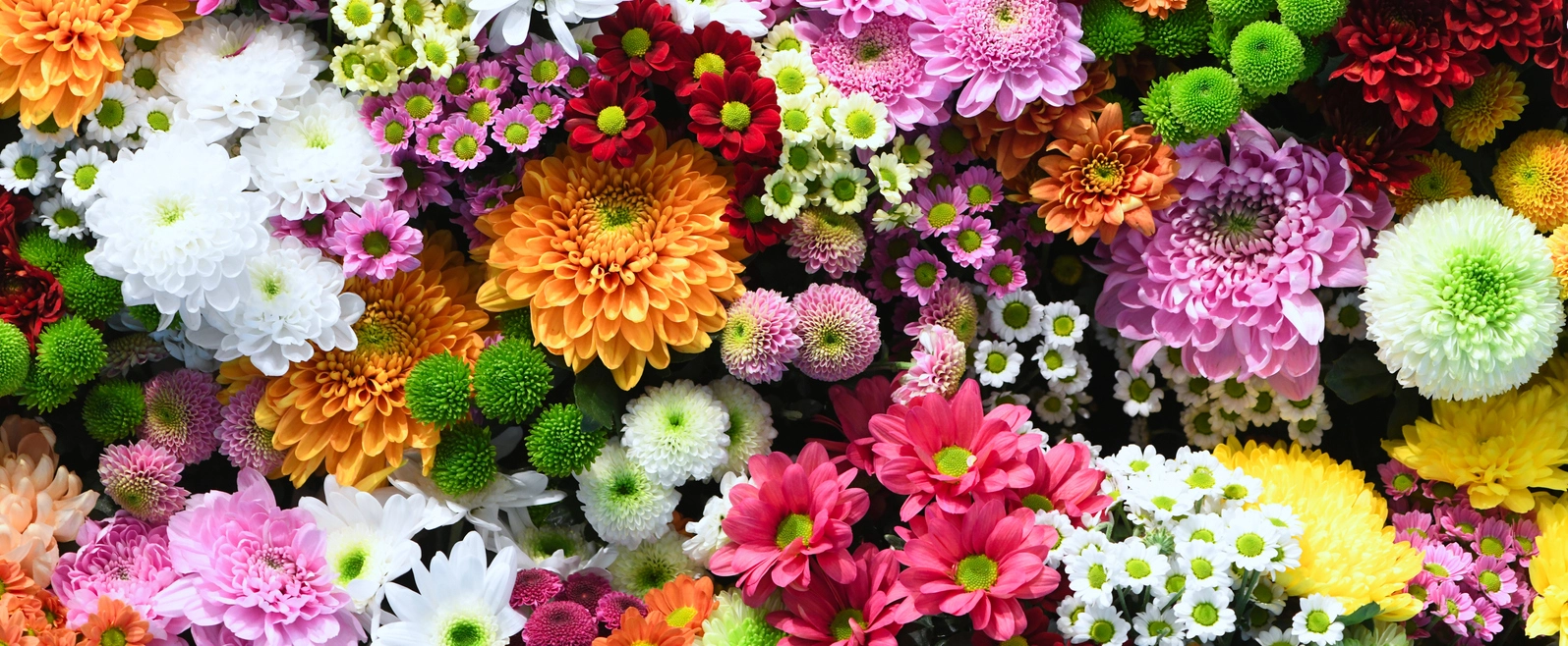 Buds & Green Florist Buds & Green Florist