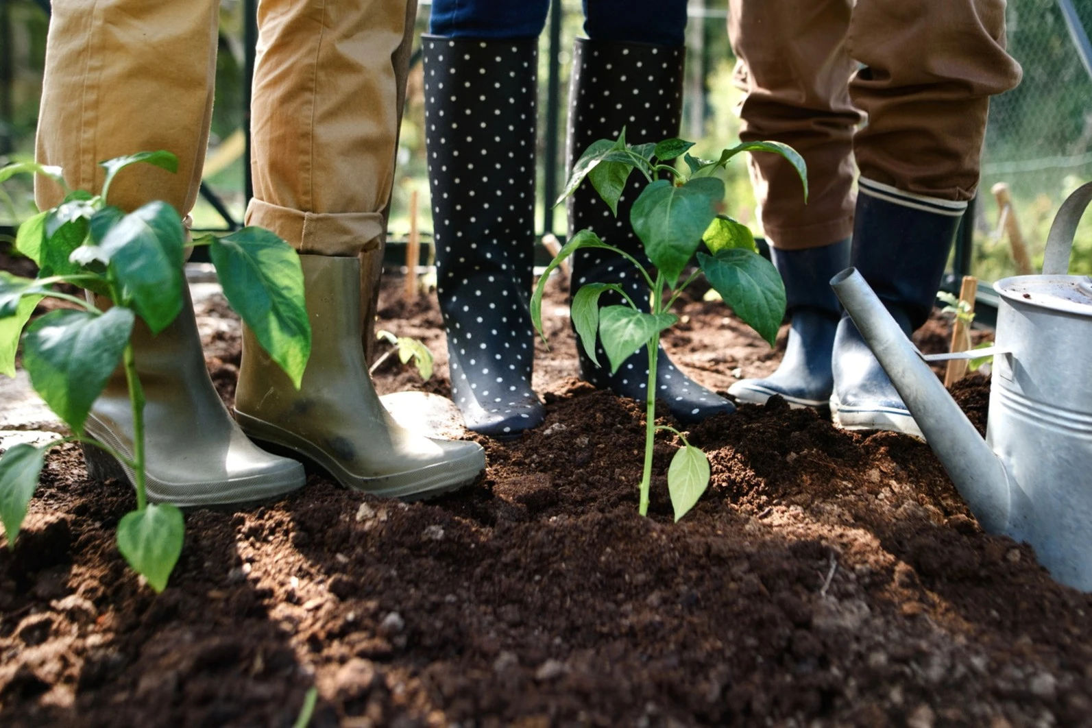 Community Garden Competition