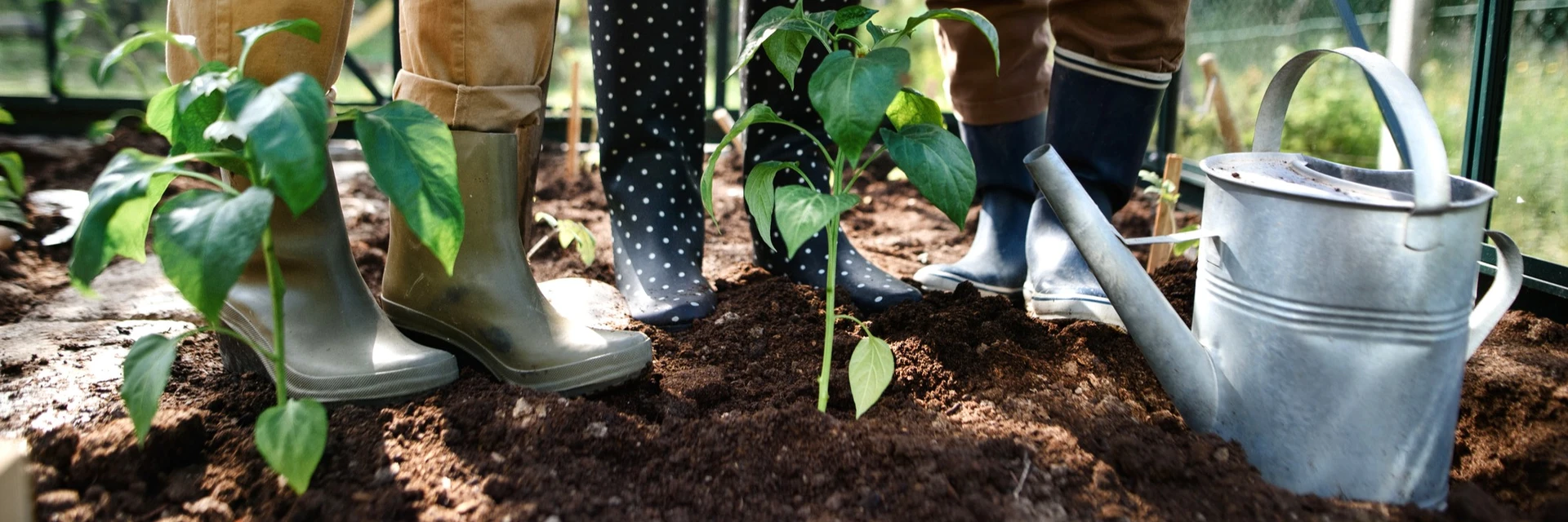COMMUNITY GARDEN COMPETITION