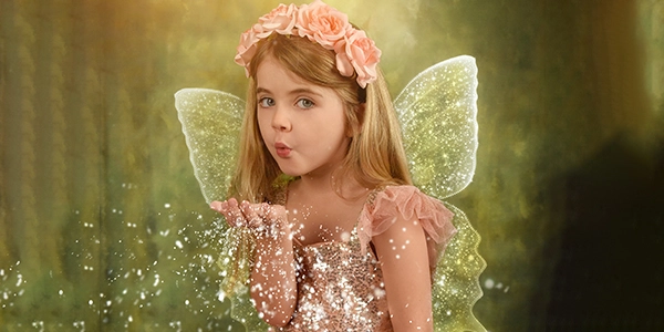 Create a Mini Fairy Garden at Willington