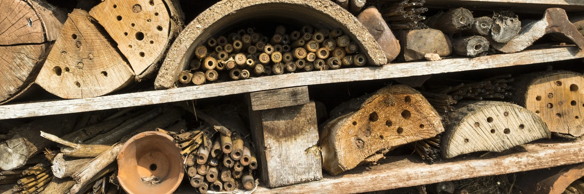 CREATING A BUG HOTEL
