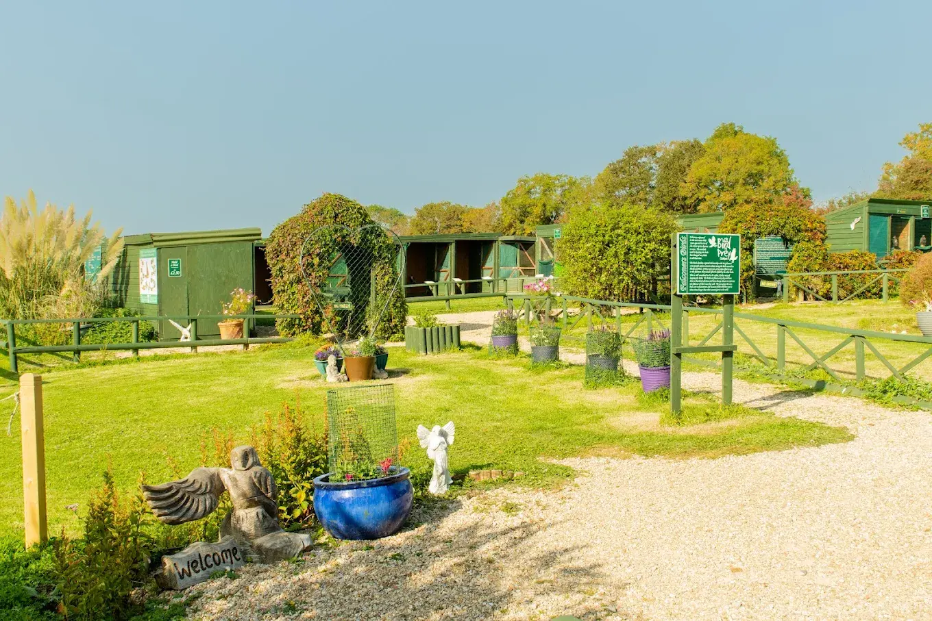 Devon Bird of Prey Centre Devon Bird of Prey Centre
