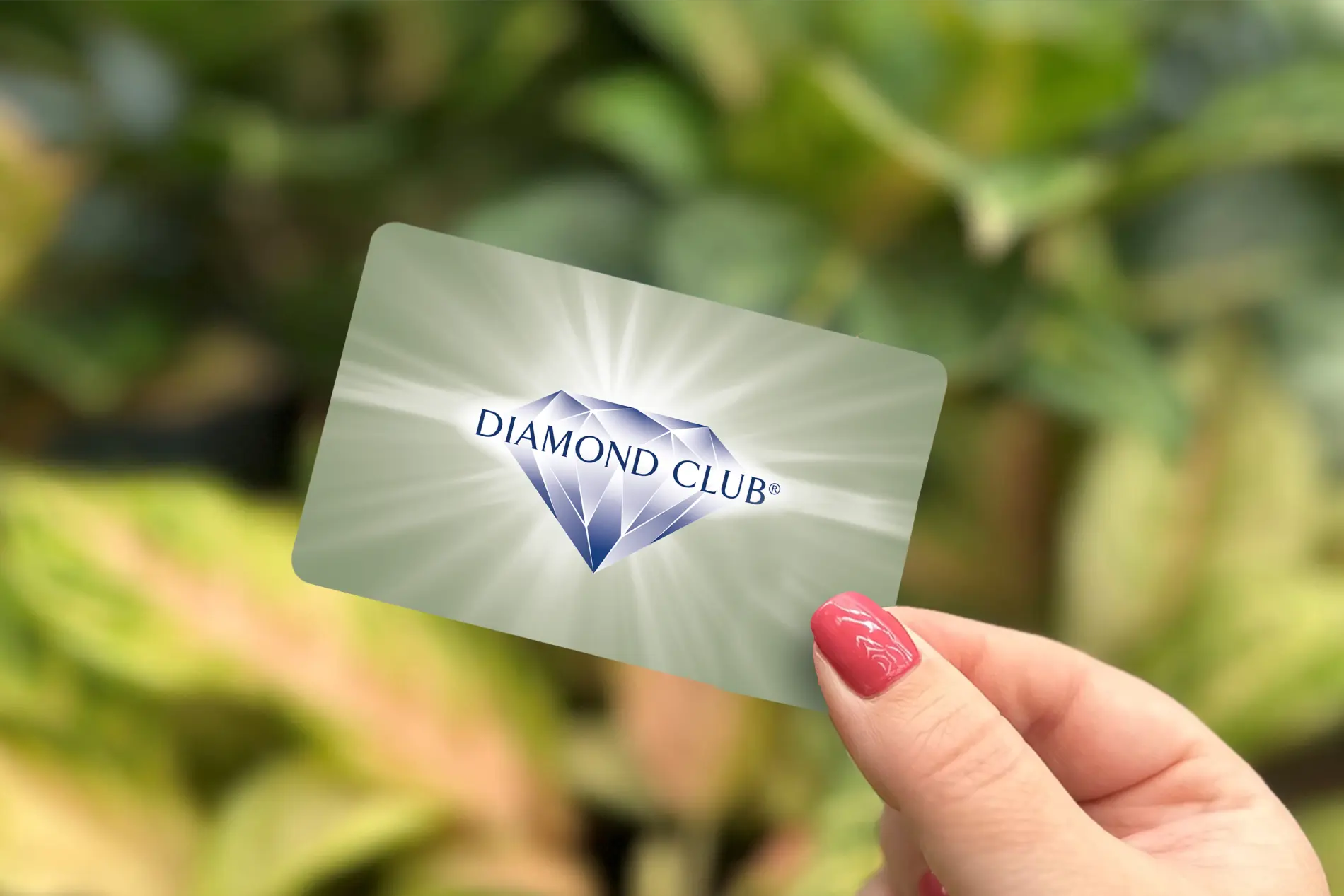 Diamond Club