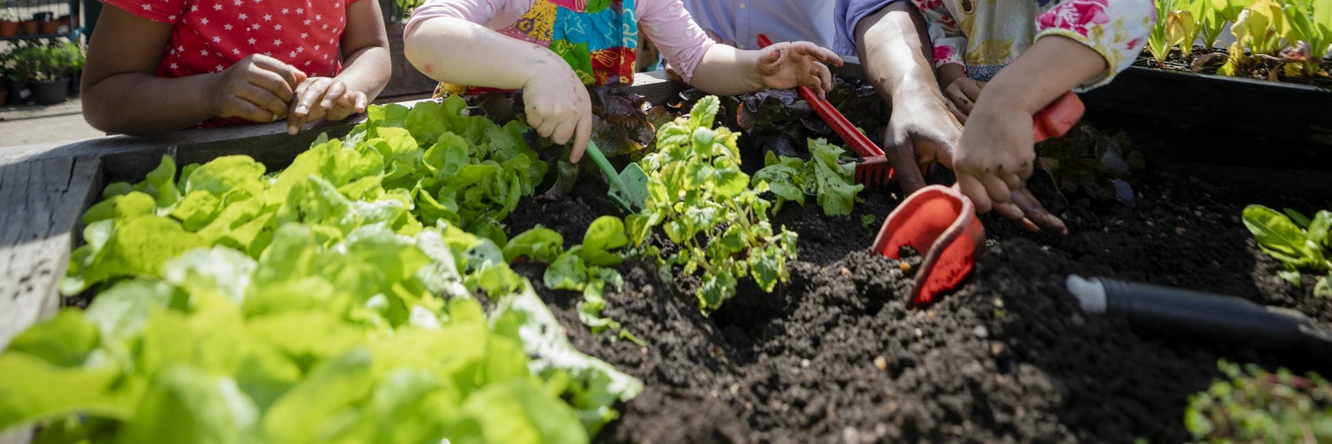 FRIENDS OF HOLBROOK THINKING GARDEN