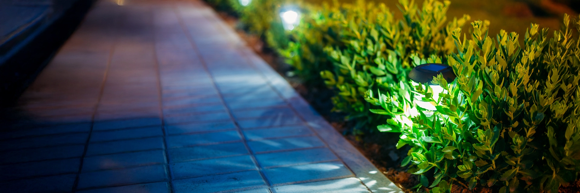 GARDEN DÉCOR & LIGHTING