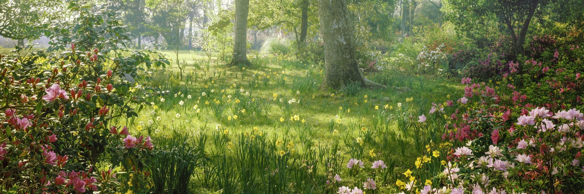 GARDEN RE-LEAF DAY 2026