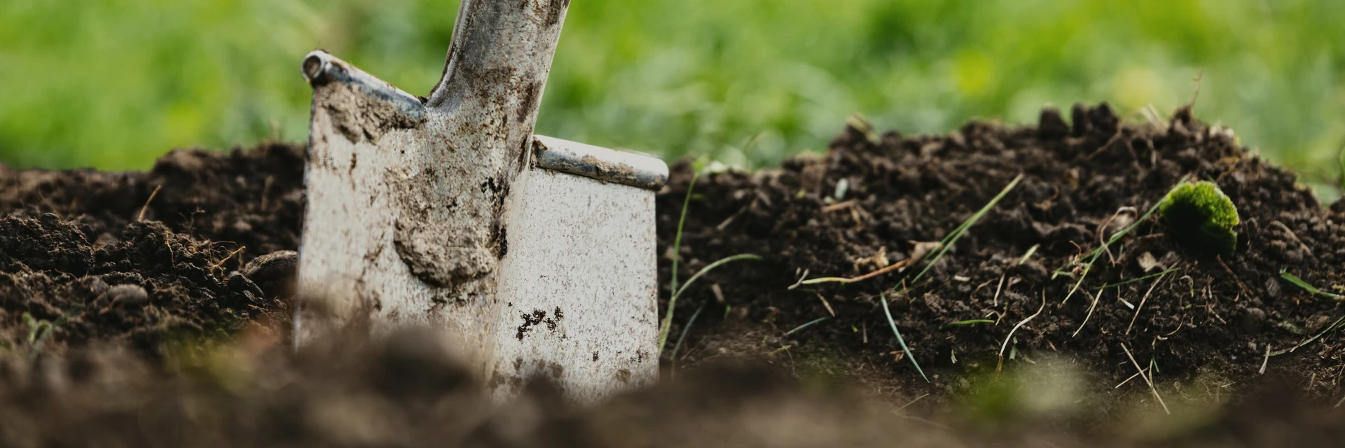 'GET GROWING' PROJECT