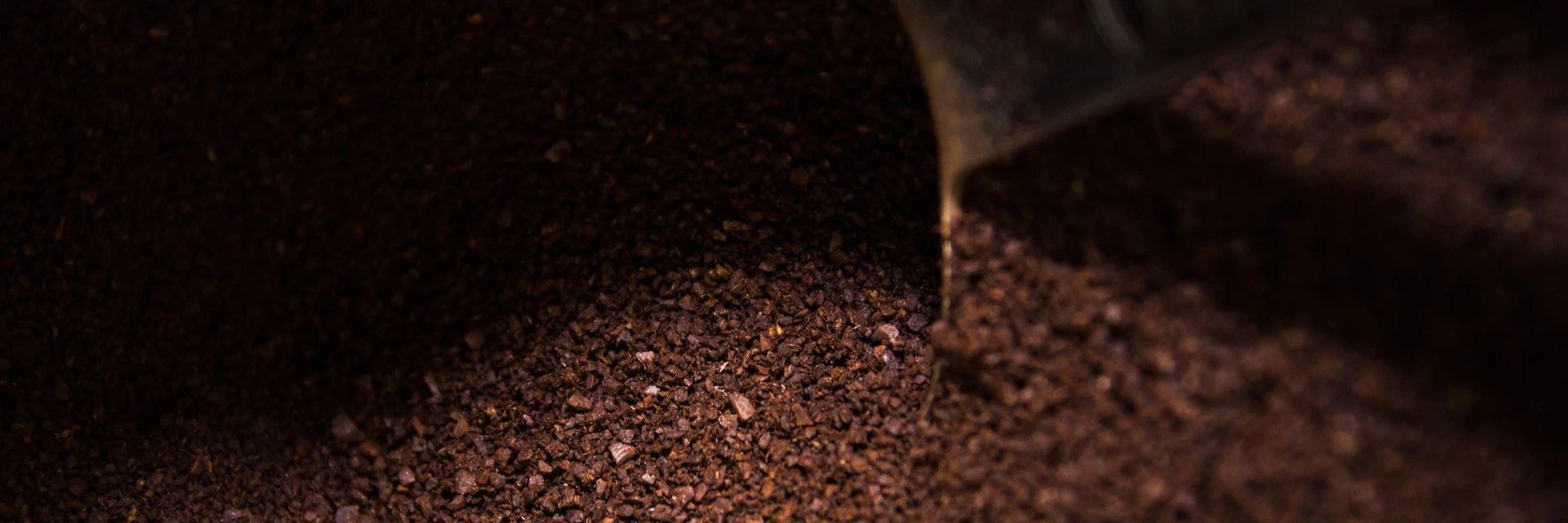 GROUNDS FOR THE GROUND