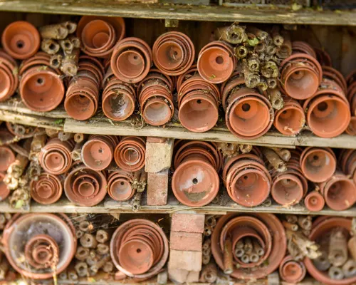 Little Acorns Flower Pot Bug Hotel in Willington Little Acorns Flower Pot Bug Hotel in Willington