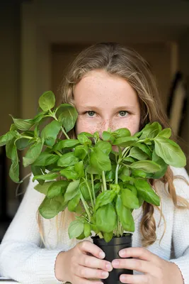 Little Acorns- Getting To Know Herbs at Yarnton Little Acorns- Getting To Know Herbs at Yarnton
