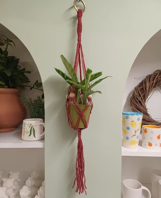 Macrame Plant Hangers at Yarnton