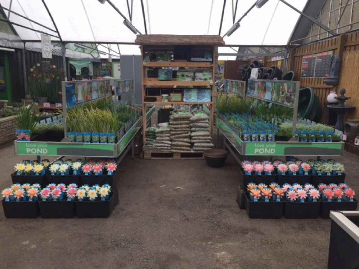 Maidenhead Aquatics Maidenhead Aquatics