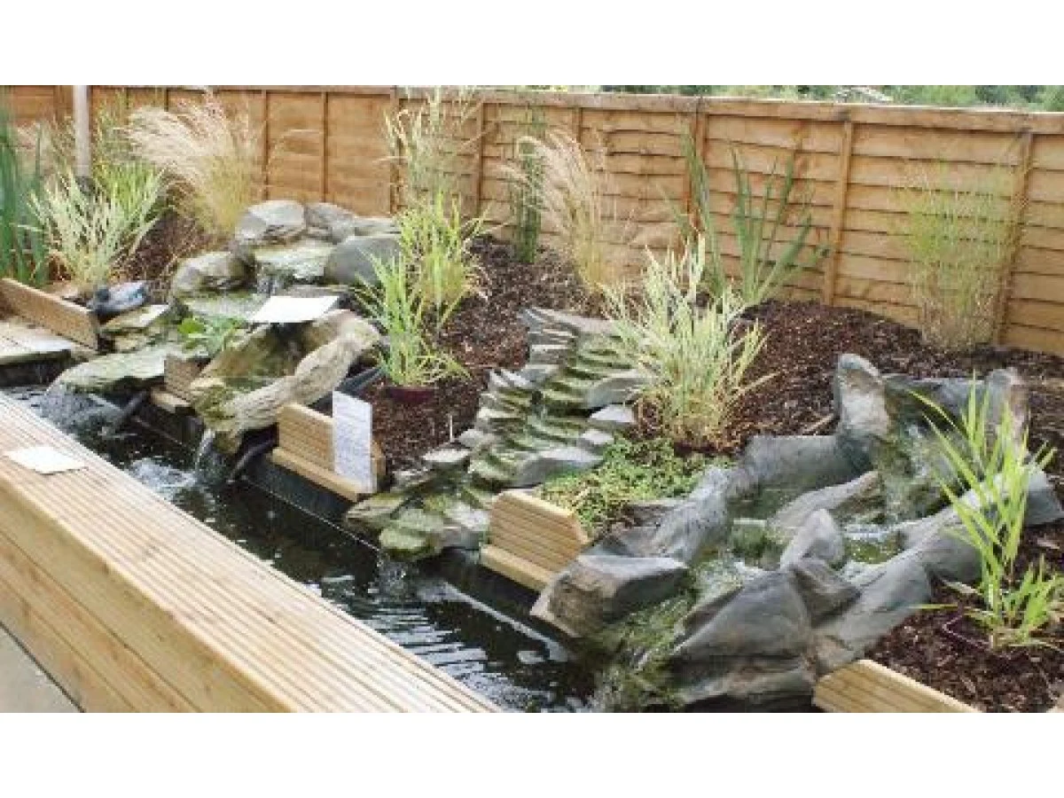 Maidenhead Aquatics Maidenhead Aquatics