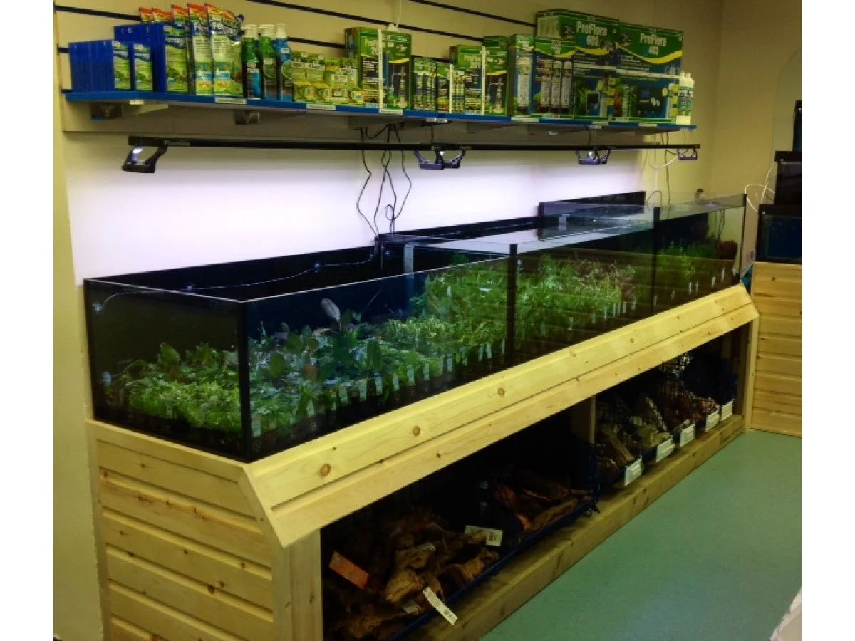 Maidenhead Aquatics Maidenhead Aquatics