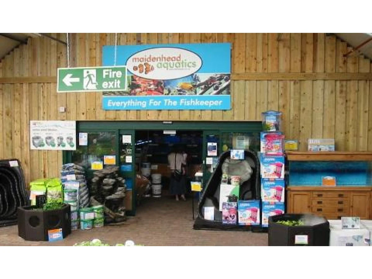 Maidenhead Aquatics Maidenhead Aquatics