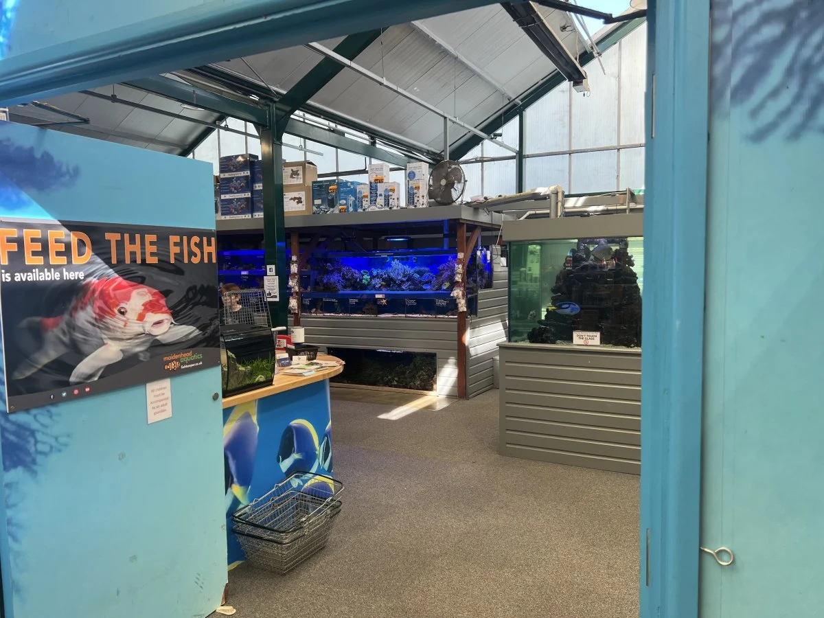 Maidenhead Aquatics Maidenhead Aquatics