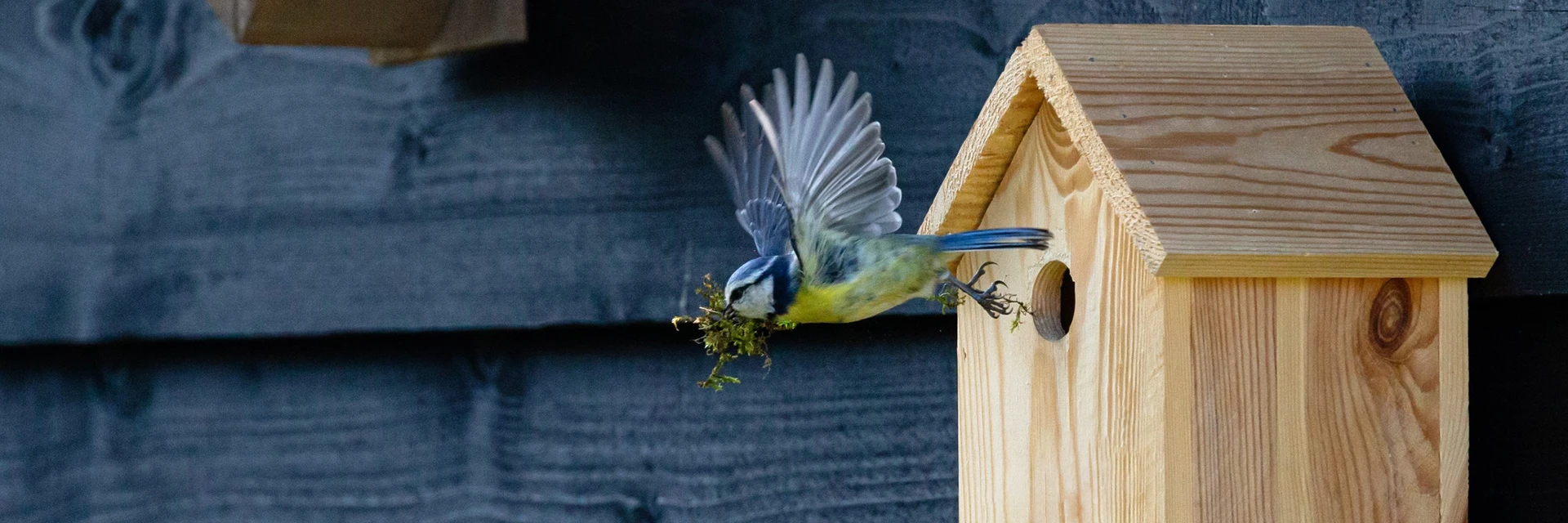 NEST BOX GUIDE