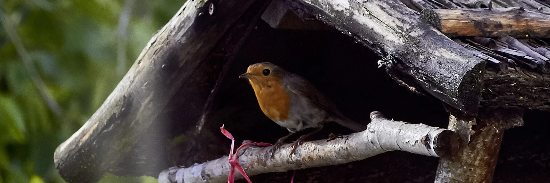 NEST BOX GUIDE - OPEN-FRONTED BOXES
