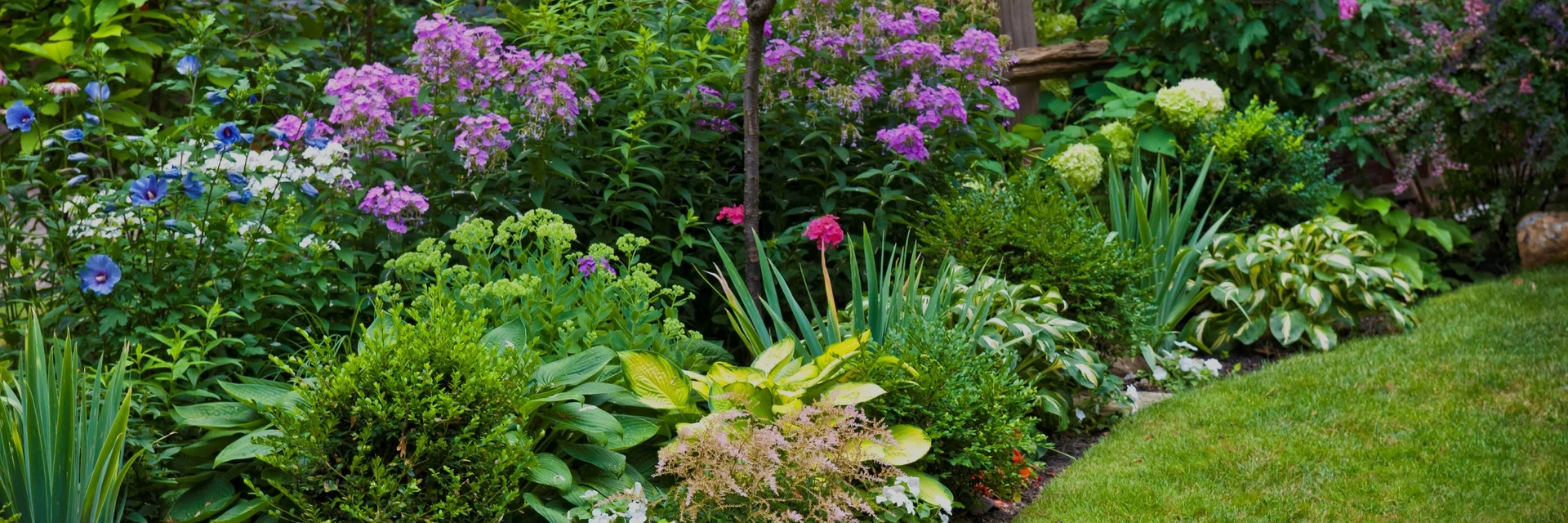 OUTDOOR PLANT CARE GUIDE