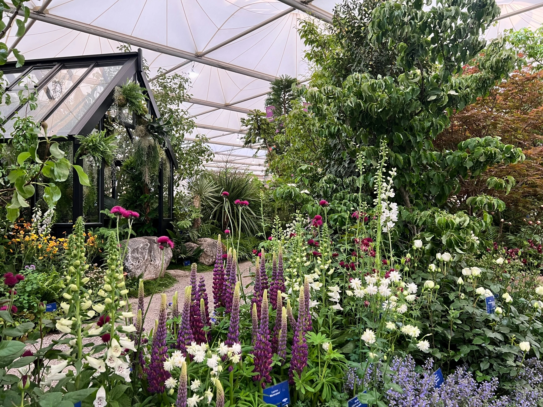 RHS Chelsea Flower Show 2025