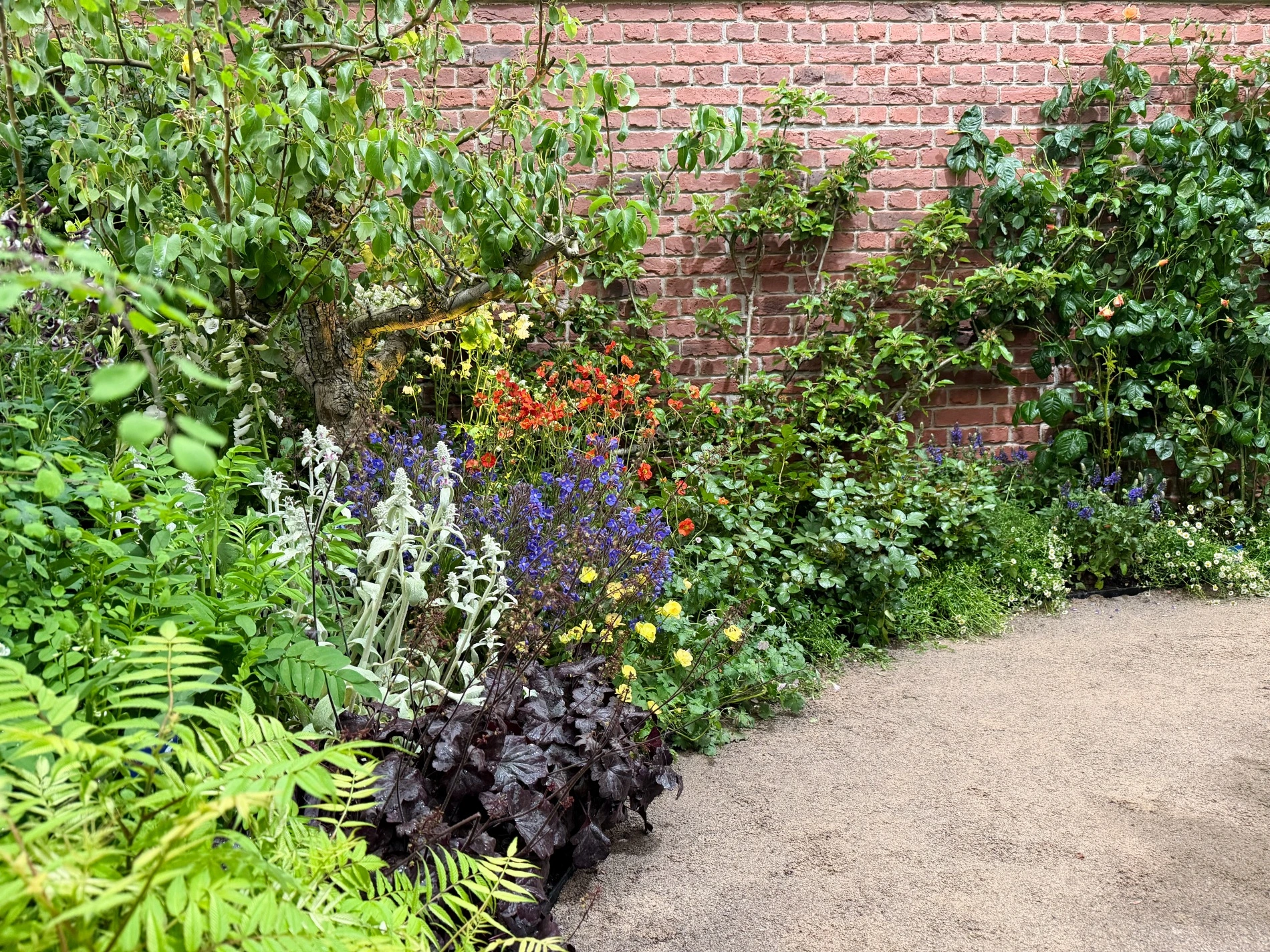 RHS Chelsea Flower Show 2026