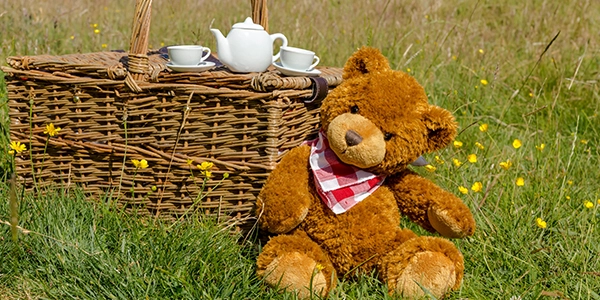 Teddy Bears Picnic Event at Lily Pots Pottery Willington