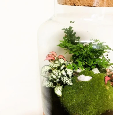 Terrarium Workshop at Barton Grange