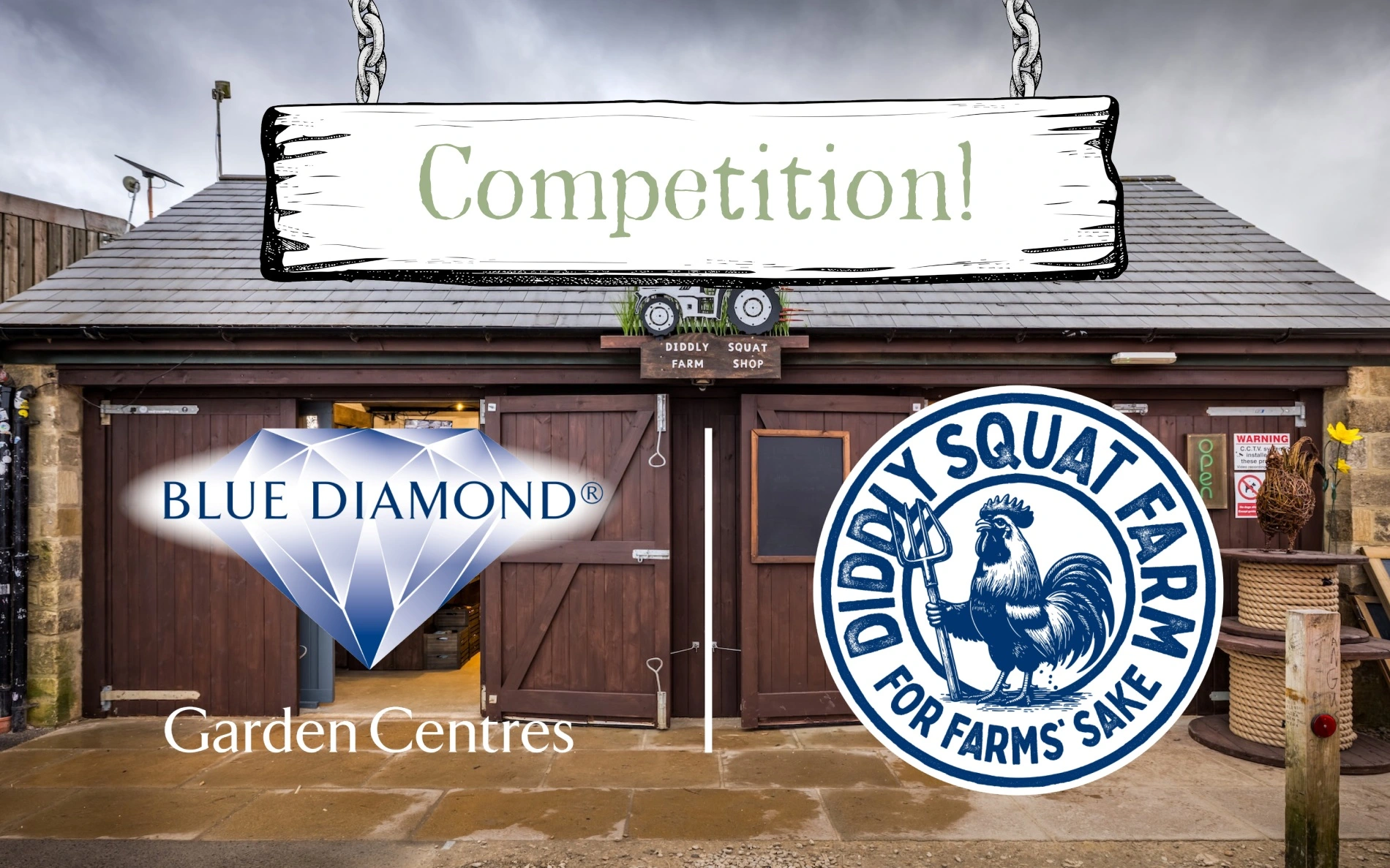 Win a Diddly Squat Farm Experience