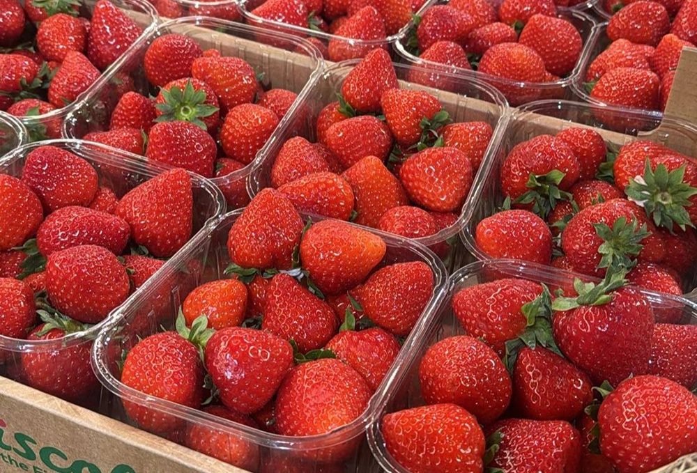 World's Finest Fruit World's Finest Fruit