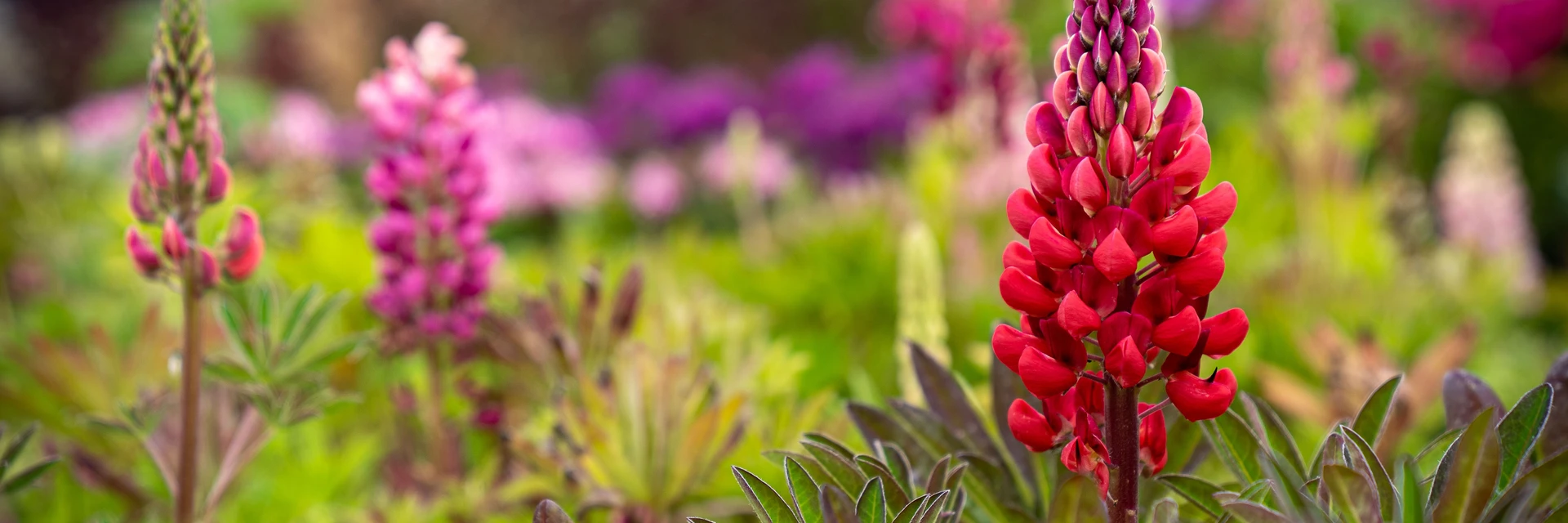 YARNTON E-GIFT CARDS