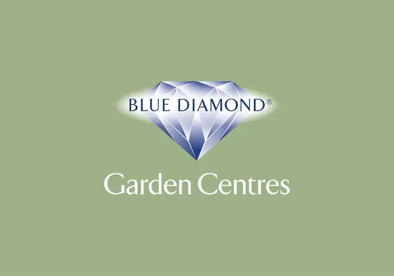 Blue Diamond Appoints a New Non-Executive Director