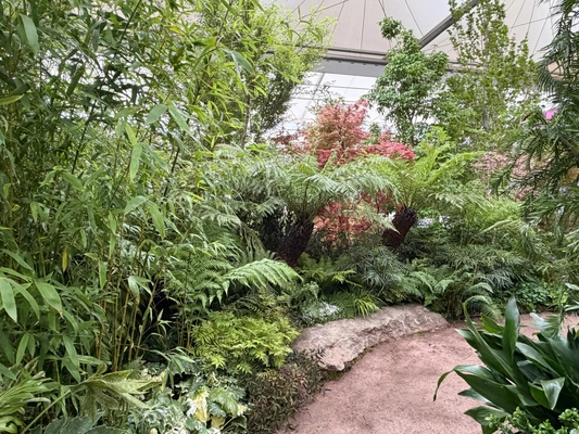 Blue Diamond Garden Centres Win Consecutive Gold Medal at RHS Chelsea Flower Show 2026!