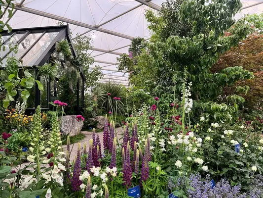 Blue Diamond Garden Centres Wins Gold at RHS Chelsea Flower Show