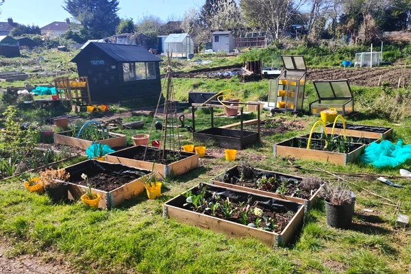 Community Garden Competition - One Year On
