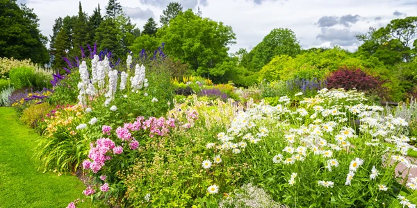 July Notes from the Potting Shed with Gardening Expert Chris Milborne
