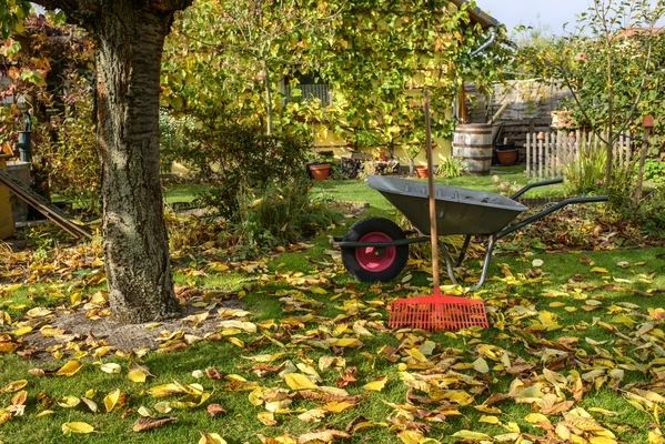 October Notes from the Potting Shed with Gardening Expert Chris Milborne