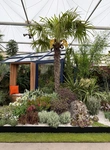 RHS Chelsea 2026 - Final Photos