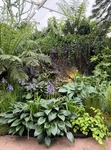 RHS Chelsea 2026 - Final Photos
