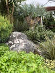 RHS Chelsea 2026 - Final Photos