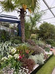 RHS Chelsea 2026 - Final Photos