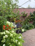 RHS Chelsea 2026 - Final Photos