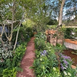 RHS Chelsea 2024 Gallery