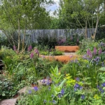 RHS Chelsea 2024 Gallery
