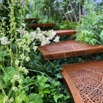 RHS Chelsea 2024 Gallery