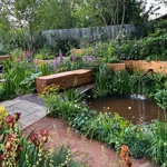 RHS Chelsea 2024 Gallery